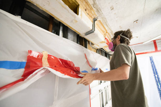 Trusted Westway, TX Mold Removal Experts