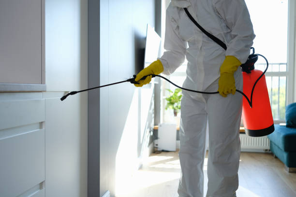 Dehumidification Services in Westway, TX